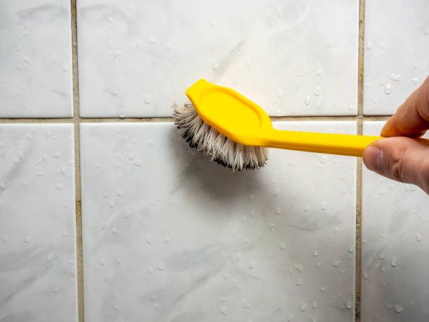 Best Fast Mold Removal  in Mack, OH