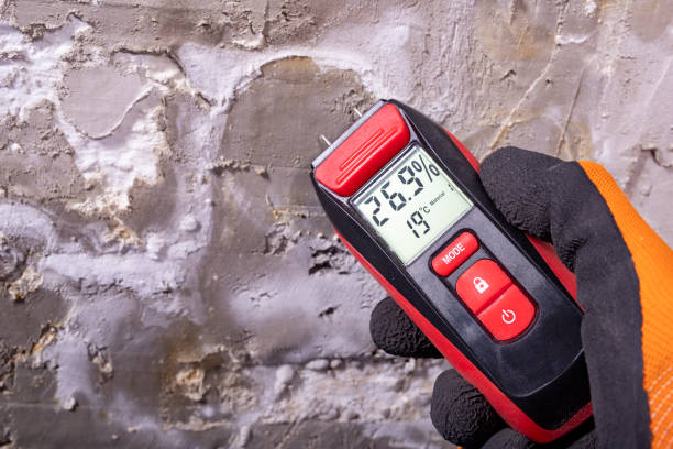 Best Mold Testing  in Mack, OH